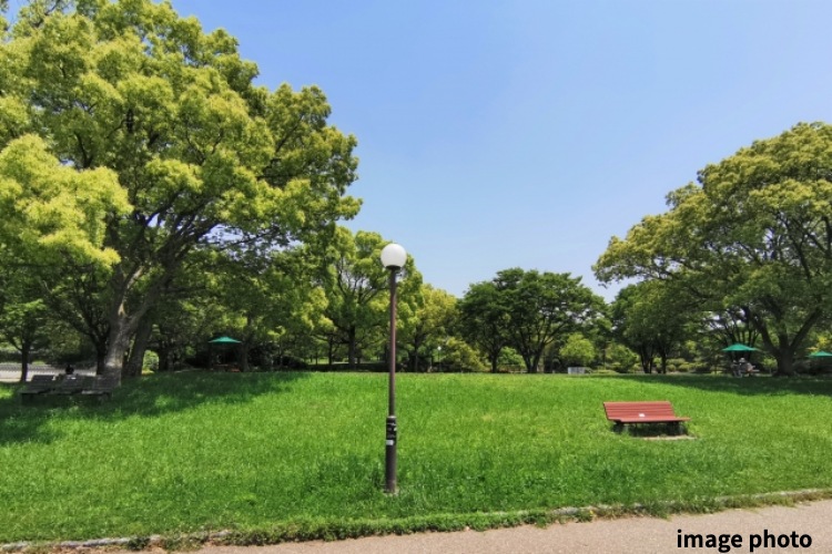 公園のイメージ画像